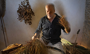 LAURENT CAVALIÉ